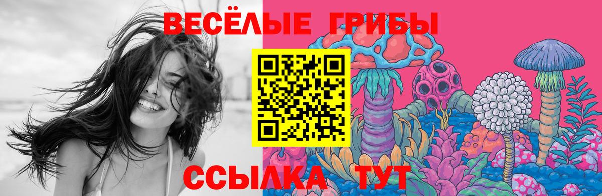 Конаково  Галлюциногенные грибы Cubensis  Псилоцибиновые грибы Magic Shrooms  Вход с VPN 